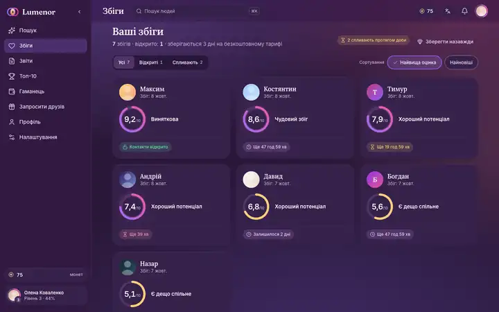 Збіги у вебзастосунку Lumenor у браузері на компʼютері